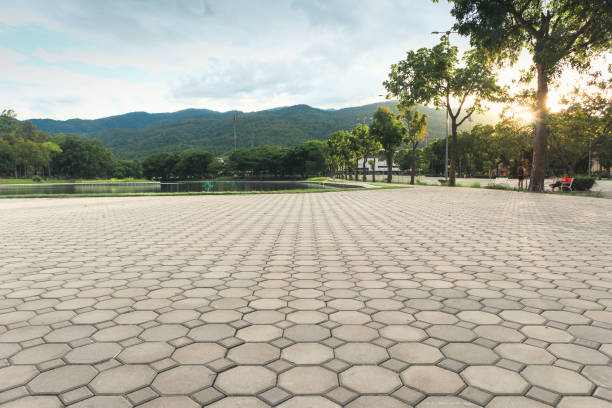Best Professional Driveway Pavers  in Rural Retreat, VA